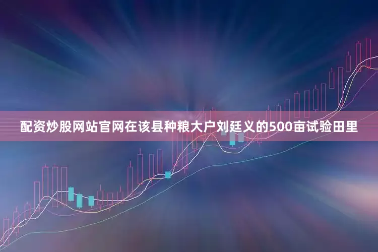 配资炒股网站官网在该县种粮大户刘廷义的500亩试验田里