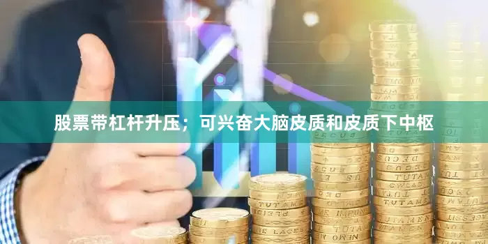 股票带杠杆升压；可兴奋大脑皮质和皮质下中枢