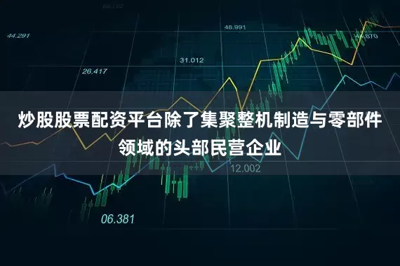 炒股股票配资平台　　除了集聚整机制造与零部件领域的头部民营企业